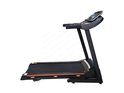 Беговая дорожка электрическая ROYAL Fitness RF-6