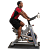 Спинбайк Body-Solid Endurance ESB250